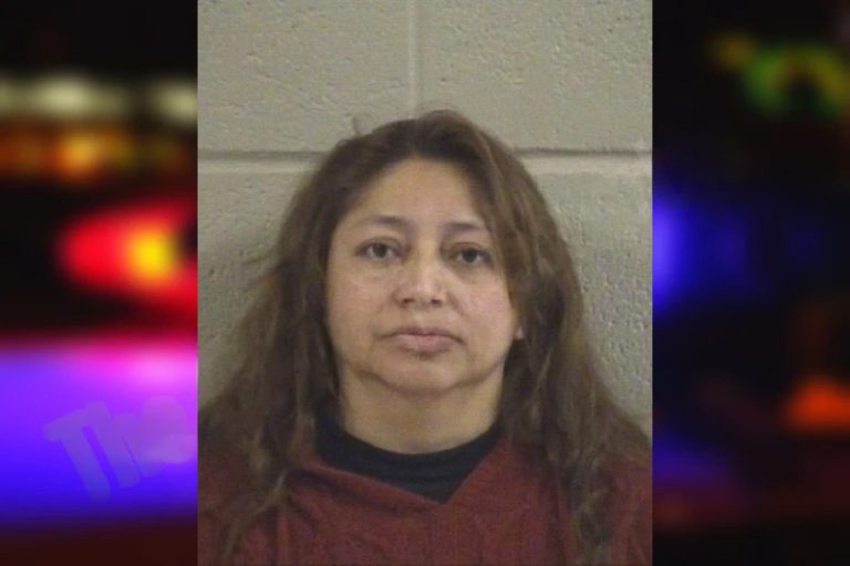 Odeli Bail-Lopez mugshot – Whitfield County , Georgia Odeli Bail-Lopez