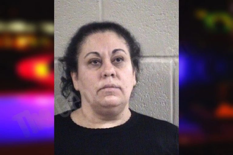 Olga Toledo-Pantoja mugshot – Whitfield County , Georgia Olga Toledo-Pantoja
