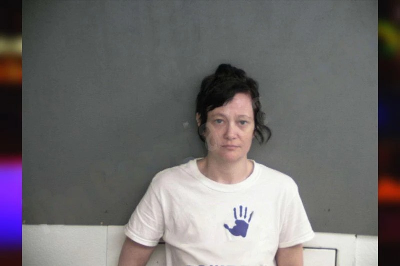 Olivia Phillips Mugshots