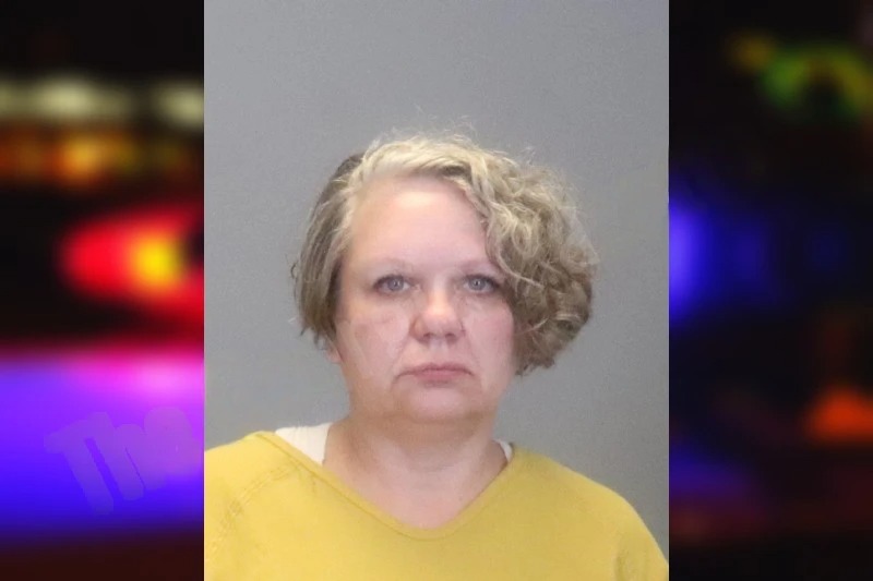 Pamela Anderson Mugshots