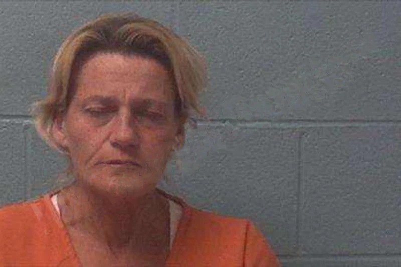 Pamela Hill Mugshots