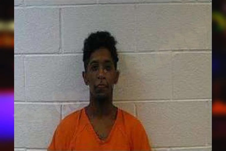 Paris Johnson mugshot – Polk County , Georgia Paris Johnson