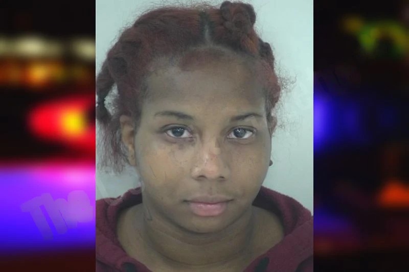 Passionae Bedford Mugshots