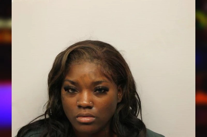 Patreneii Polite Mugshots