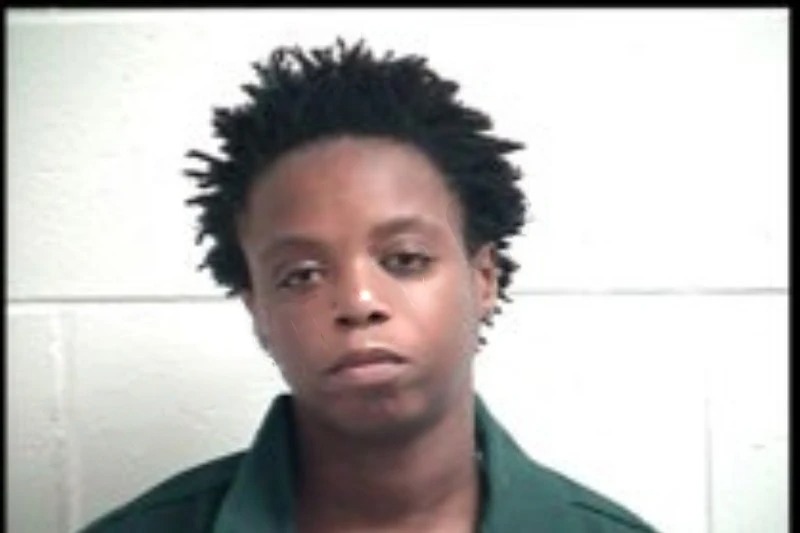 Patricia Lay mugshot