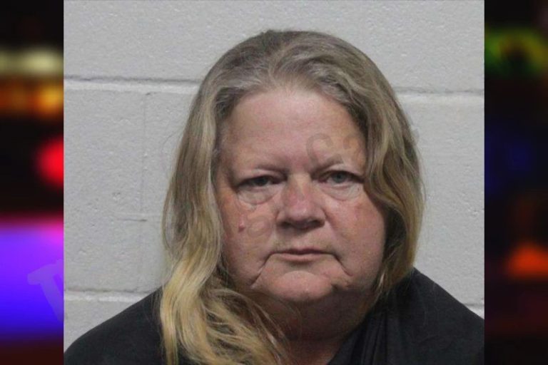 Patricia Lewallen mugshot – Habersham County , Georgia Patricia Lewallen