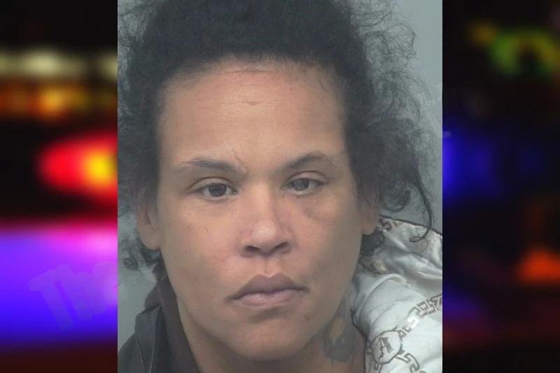 Patricia Lytle mugshot – Gwinnett County , Georgia Patricia Lytle mugshot