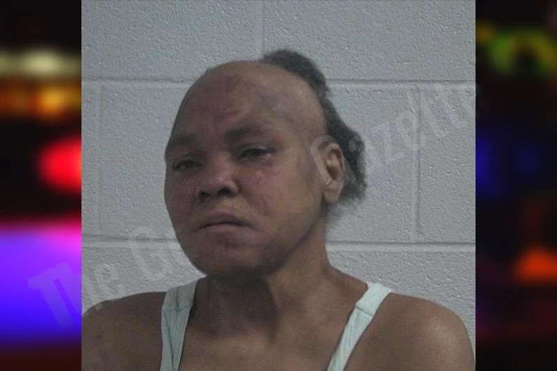 Patricia Wilson Mugshots