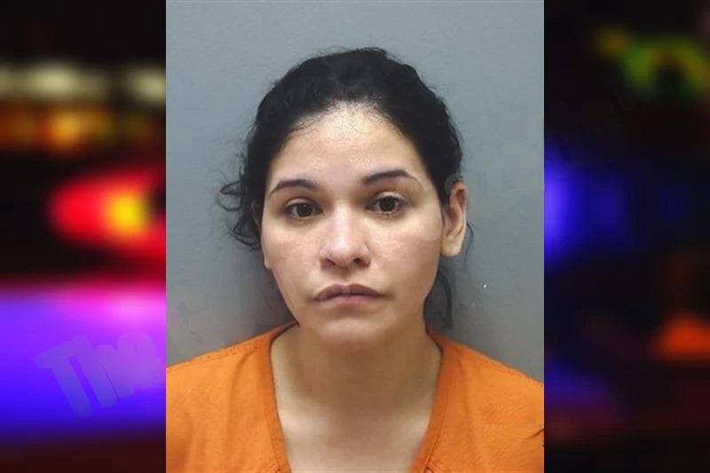 Paulina Castillo Mugshots