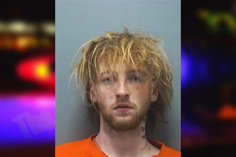 Payton Nixon mugshot – Cherokee County , Georgia Payton Nixon mugshot