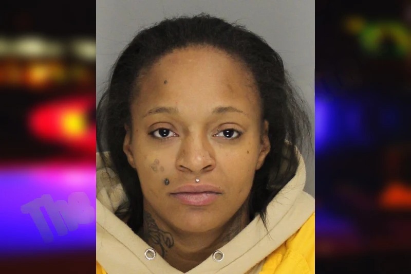 Peace Fenter mugshot – Cobb County , Georgia Peace Fenter mugshot