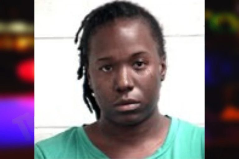Phinetta Robinson-Baker mugshot – Henry County , Georgia Phinetta Robinson-Baker
