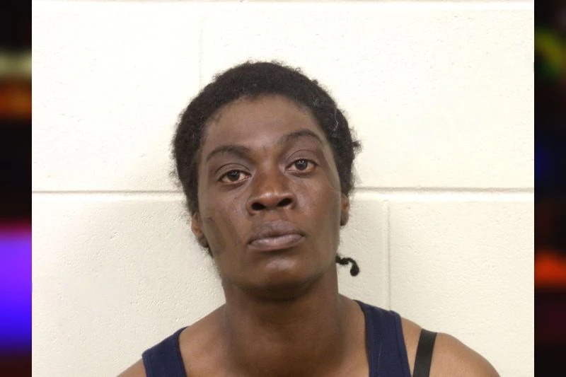 Phylis Knight mugshot