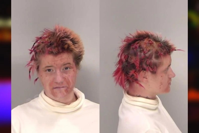 Precious White mugshot
