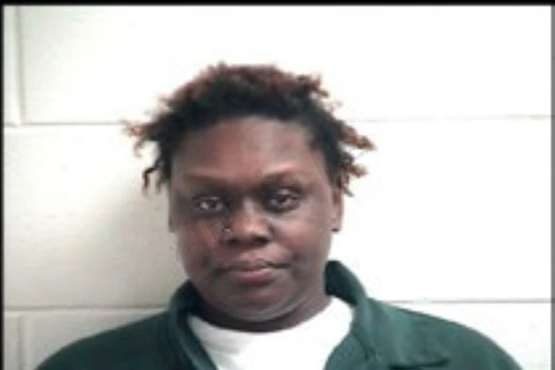 Princess Holmes mugshot