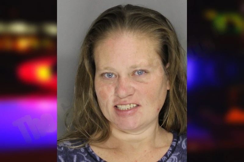 Priscilla Foster mugshot – Cobb County , Georgia Priscilla Foster mugshot