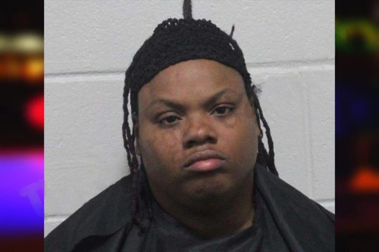 Priscilla Oliver mugshot – Habersham County , Georgia Priscilla Oliver