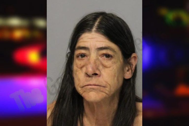 Priscilla Stapleton mugshot – Dawson County , Georgia Priscilla Stapleton