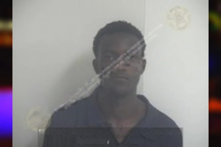 Quamon Ellison mugshot – White County , Georgia Quamon Ellison