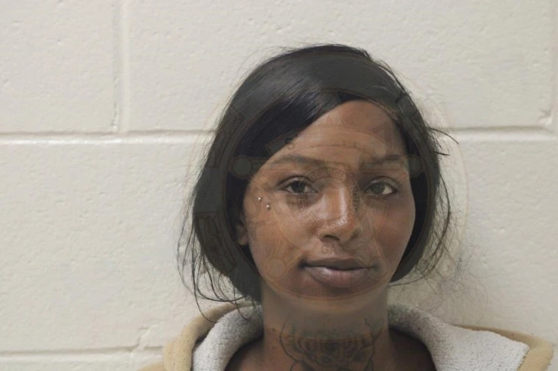 Quinishia Flowers Mugshots