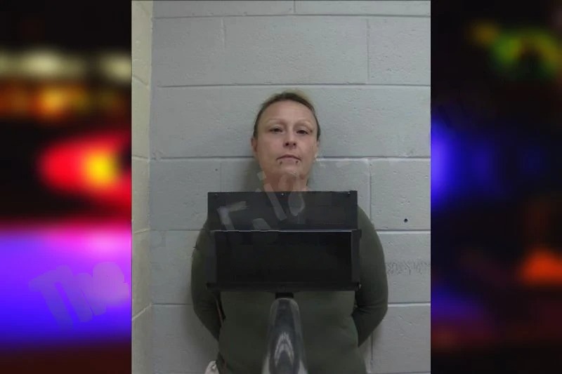 Rachel Foley Mugshots