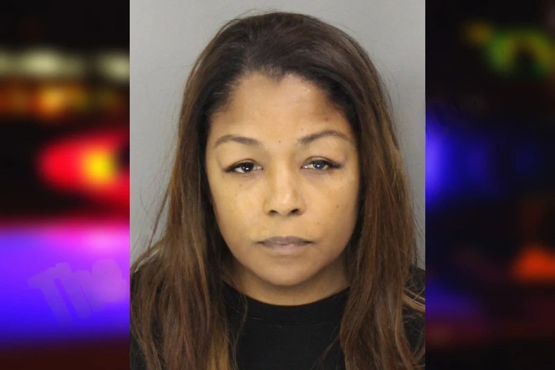 Rachel Jones mugshot