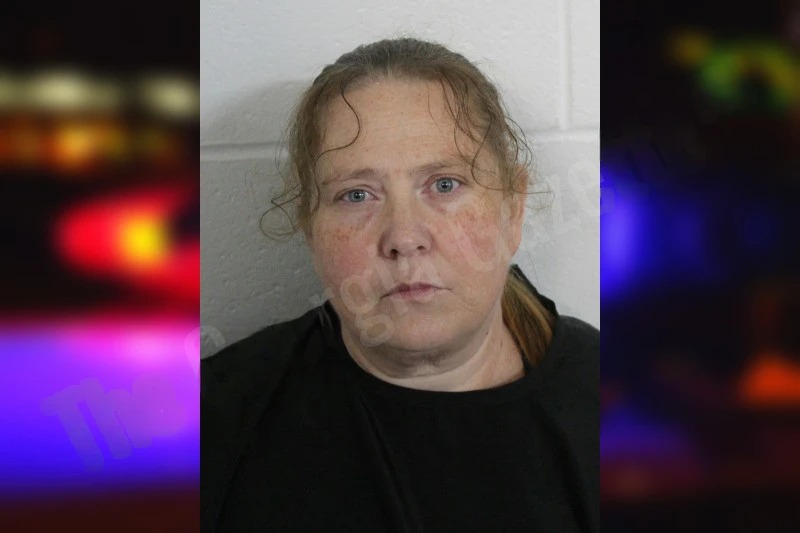 Rachel Minshew mugshot