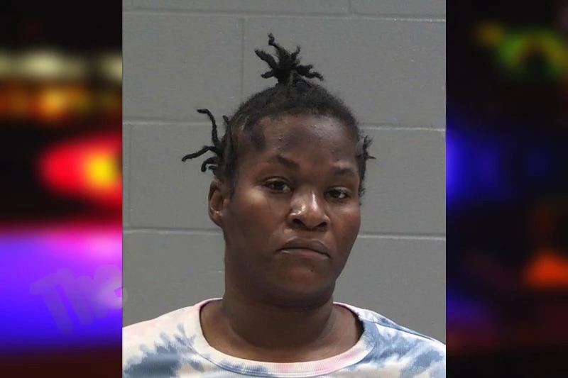 Rachel Sesson Mugshots