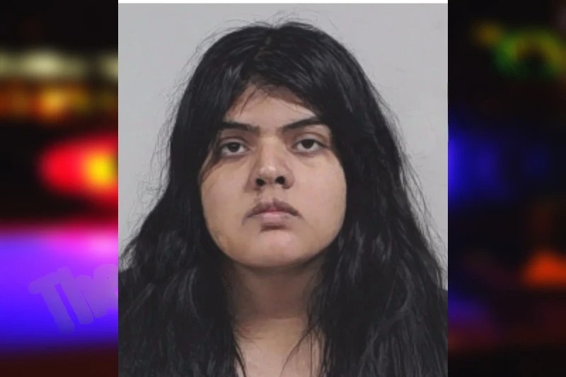 Rainlilly Hernandez Mugshots