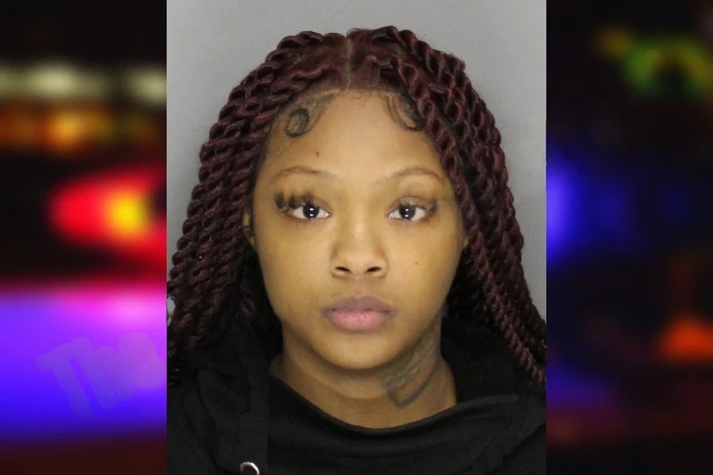 Raliyah Holland mugshot
