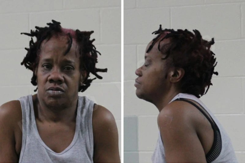Rashunda Dorsey Mugshots