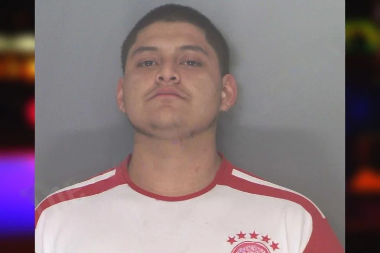 Raul Mendes-Arita mugshot – Douglas County , Georgia Raul Mendes-Arita