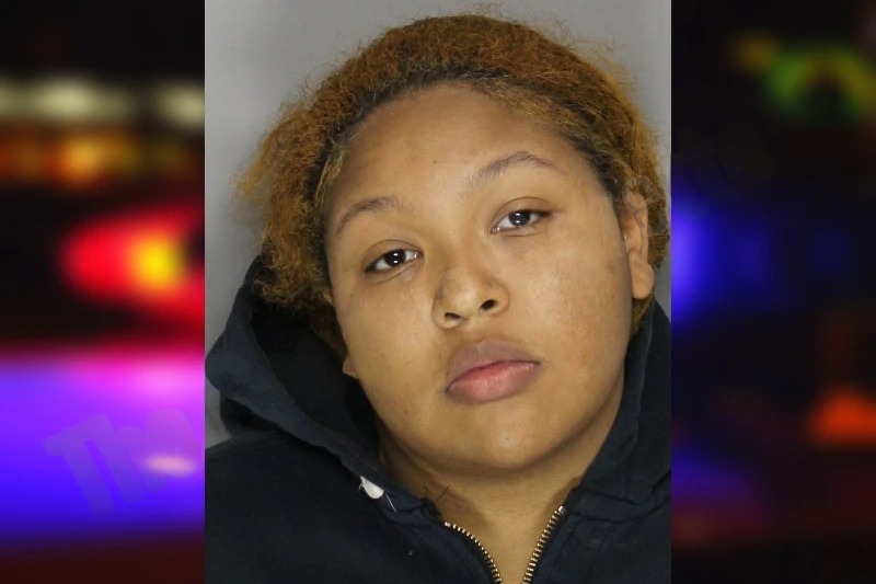 Ravyn Hutson mugshot – Cobb County , Georgia Ravyn Hutson mugshot