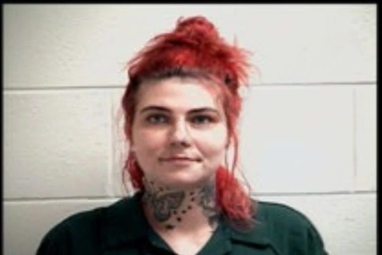 Raychel Allen mugshot – Henry County , Georgia Raychel Allen
