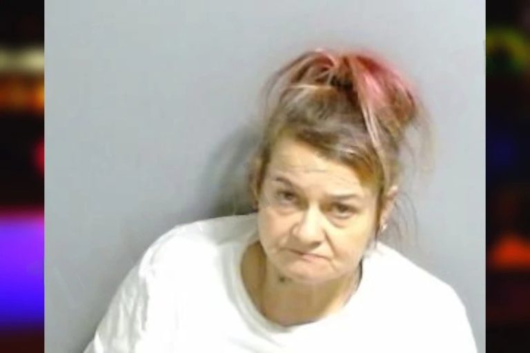 Reba Punksody mugshot – Fulton County , Georgia Reba Punksody