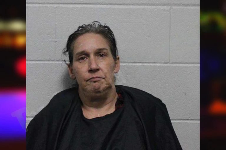 Rebecca Chastain mugshot – Habersham County , Georgia Rebecca Chastain