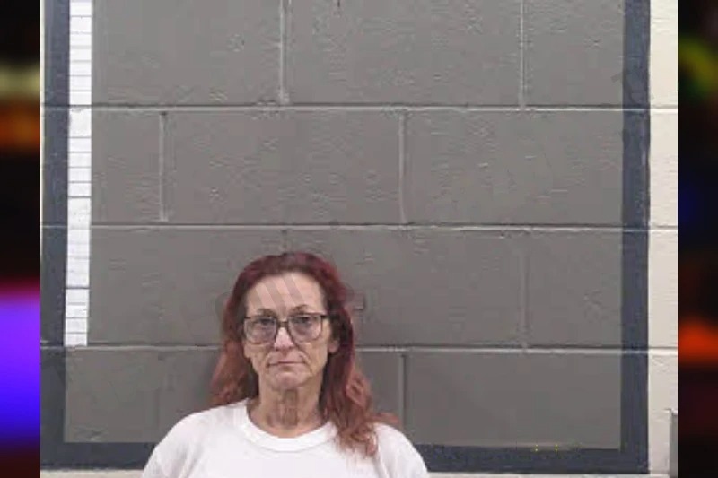 Rebecca Cook Mugshots