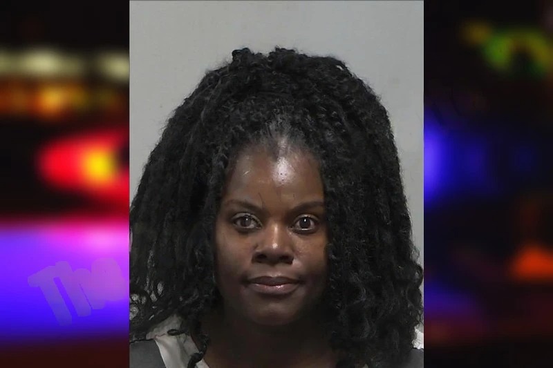 Rebecca Mitchell Mugshots