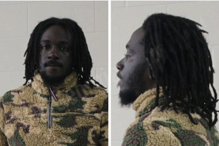 Reginald Braxton mugshot – Houston County , Georgia Reginald Braxton