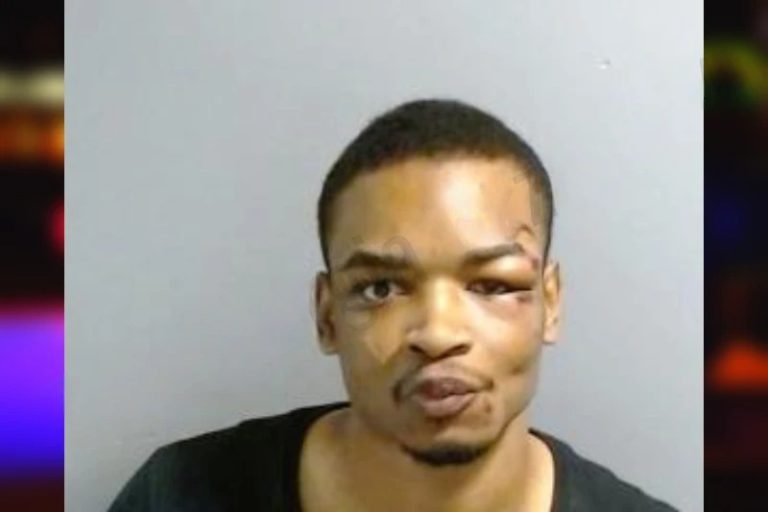 Reginald Lowe mugshot – Fulton County , Georgia Reginald Lowe