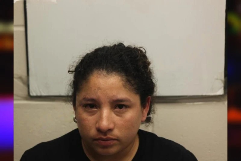 Reina Chavez Luna Mugshots