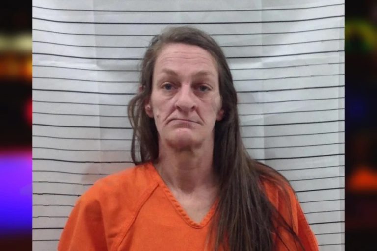 Rhonda Forbes mugshot – Pickens County , Georgia Rhonda Forbes