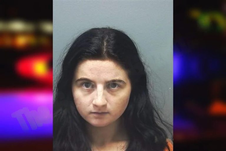 River Pressley mugshot – Cherokee County , Georgia River Pressley