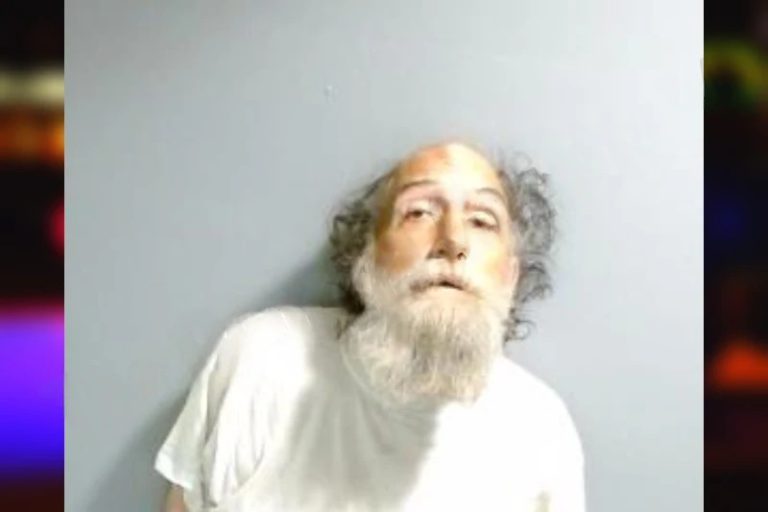 Robert Dieselberg mugshot – Fulton County , Georgia Robert Dieselberg