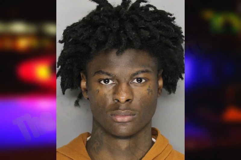 Robert James mugshot – Cobb County , Georgia Robert James mugshot