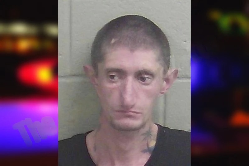 Robert Springer Mugshots