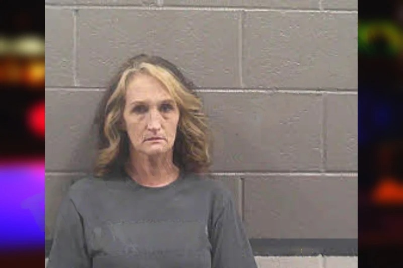 Robin Harkins mugshot