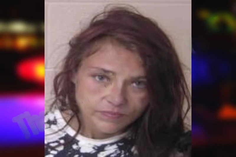 Robin Sanders mugshot – Walker County , Georgia Robin Sanders mugshot