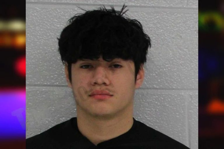 Robin Santos mugshot – Gwinnett County , Georgia Robin Santos