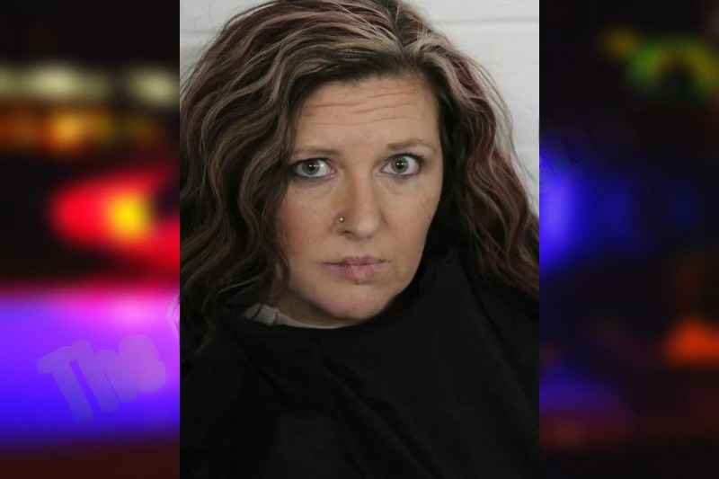 Robin Sewell mugshot – Floyd County , Georgia Robin Sewell mugshot